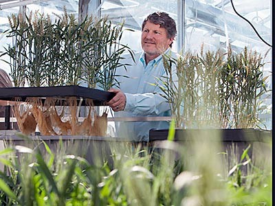USU professor and researcher Bruce Bugbee in a greenhouse lab