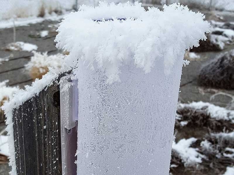 frozen rain guage