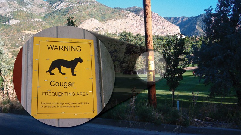Golf course in the Ogden, Utah area with posted wildlife warnings.