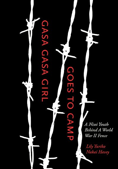book cover for 2015 Evans Award winner