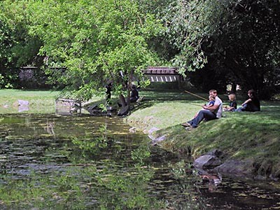 a family fishing