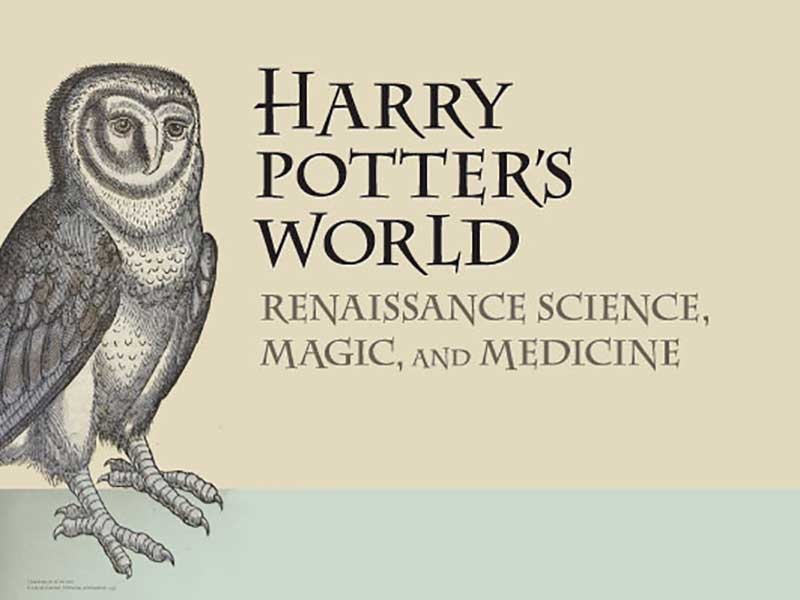 harry potter poster with owl