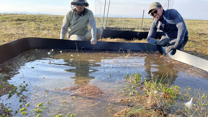 Two students work on a enclosed piece of land covered in salt water