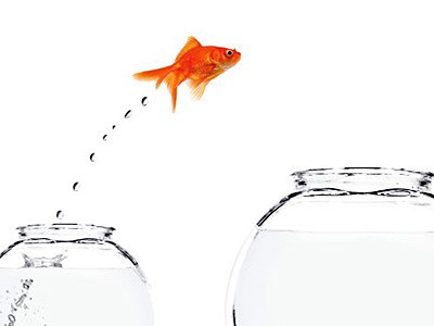 graphic illustration of goldfish jumping into a larger bowl for USU IT email upgrade