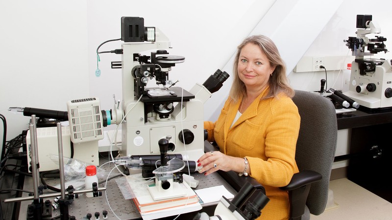 USU animal scientist, Professor Irina Polejaeva