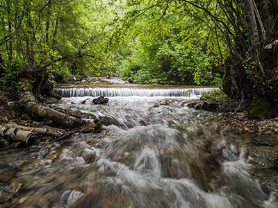 Logan River