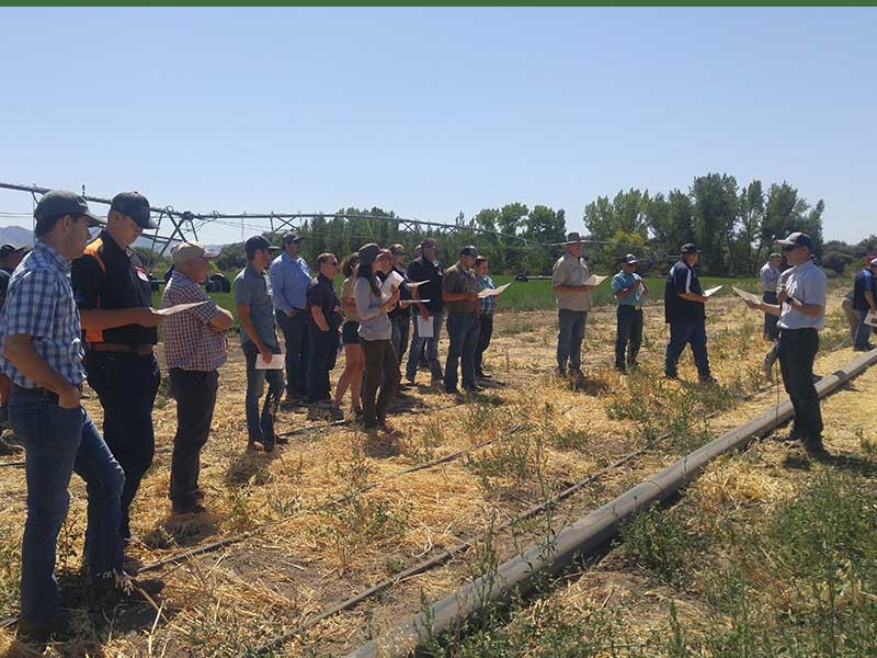 Matt Yost teaching growers about improving fertilizer and irrigation practices.