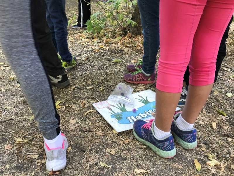 Students act as migratory