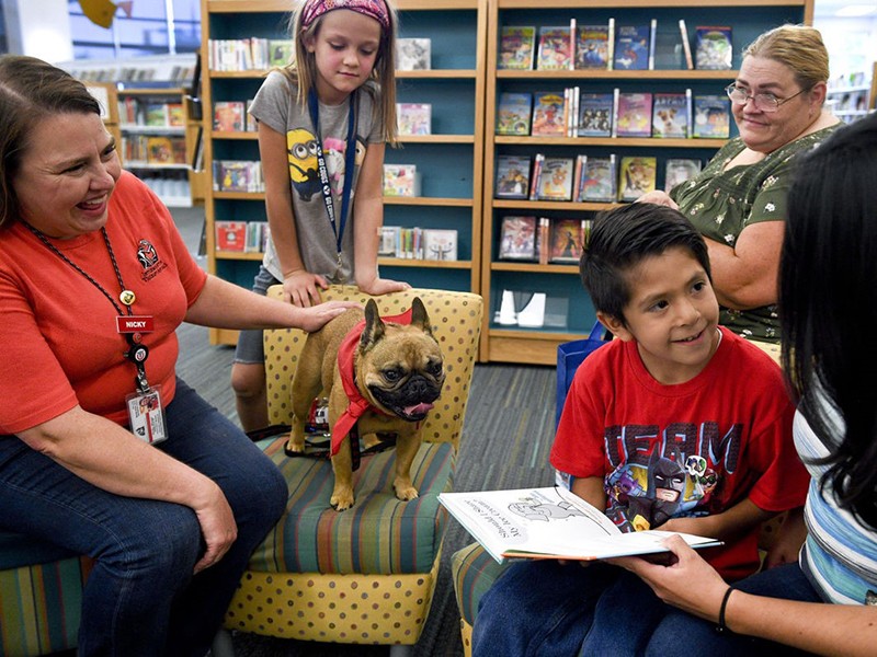 Intermountain Therapy Animals and volunteers