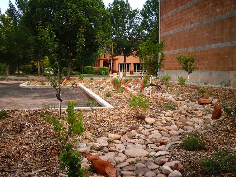 sustainable landscape