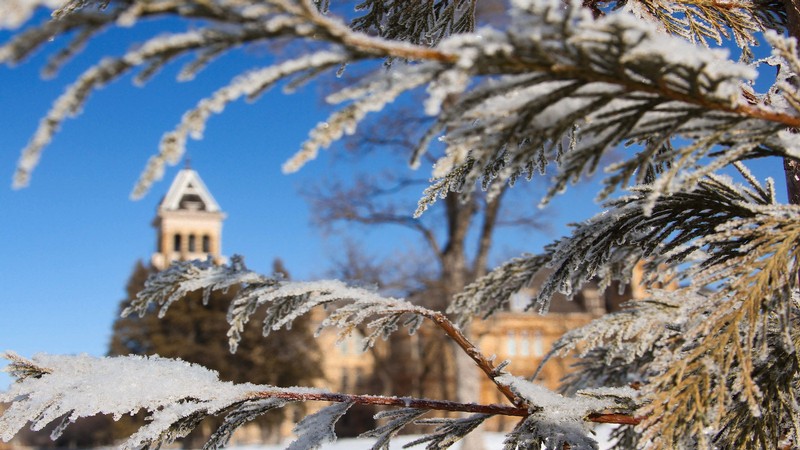Old Main is seen through snow-covered trees.
