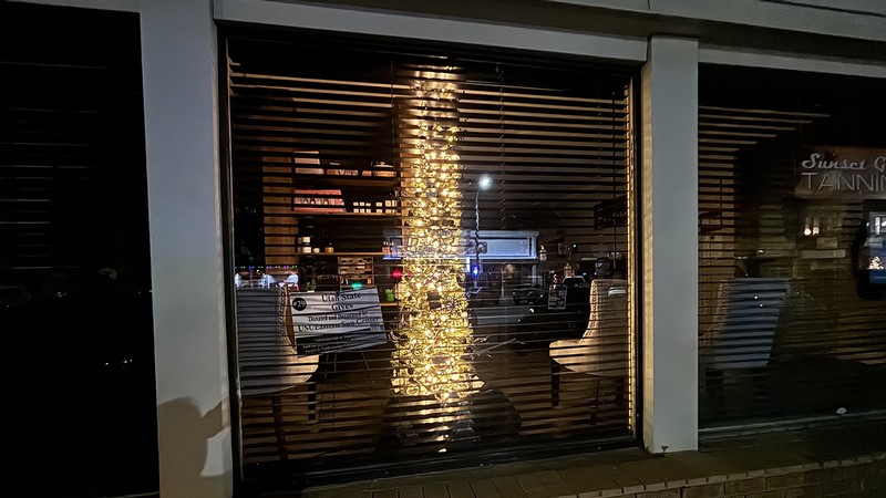 A Christmas tree in a window.