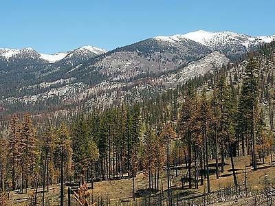 a western mountain landscape