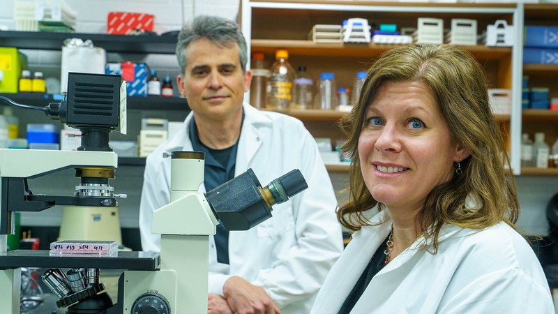 Jonna Westover and Brian Gowen at USU's Institute for Antiviral Research.