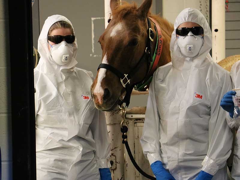 USU veterinary students with horse