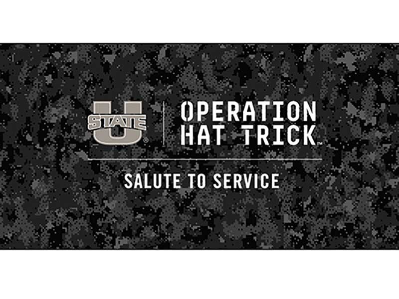 Salute to Service logo