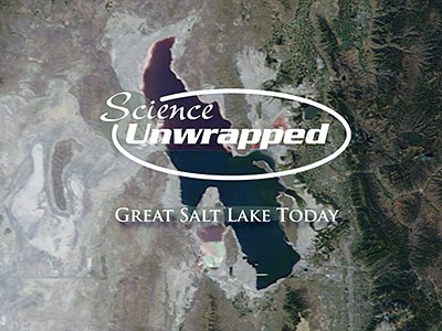 USU Science Unwrapped Great Salt Lake series illustration