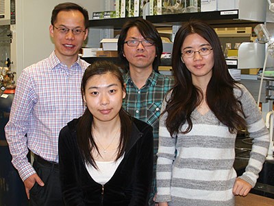 members of the Sun Group working in the lab of Yujie Sun