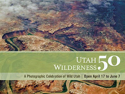 illustration for Wilderness Exhibit at the Swaner EcoCenter