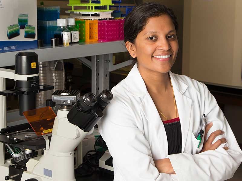 Elizabeth Vargis, biological engineering assistant professor.