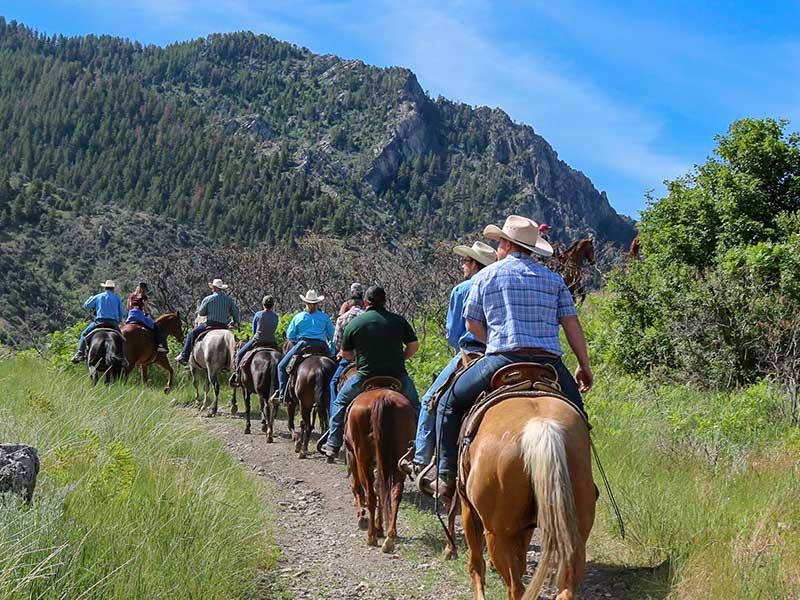 military veterans, active duty service members and their families on a horse ride.