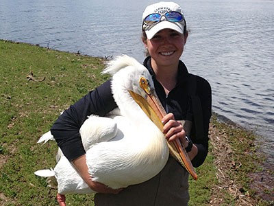 USU student Jamie Reynolds holding an American white pelican