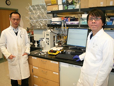 Bo You and faculty mentor Yujie Sun