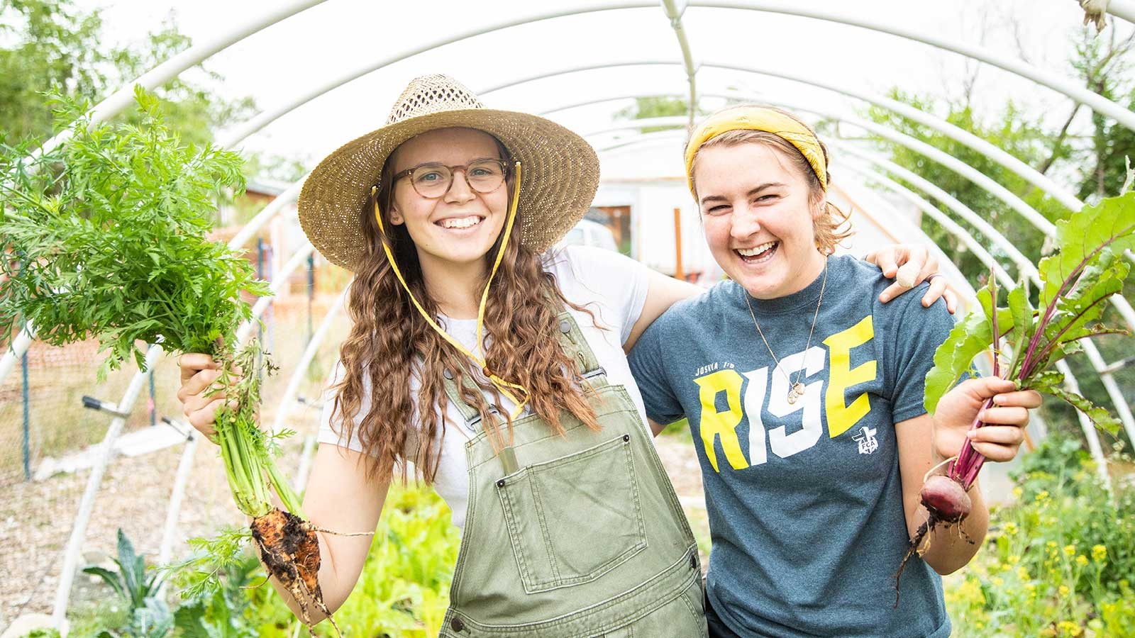 USU students completing service at the Utah Conservation Corps Urban Community Farm.