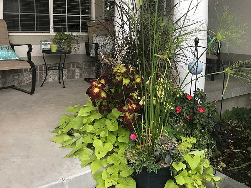 container garden