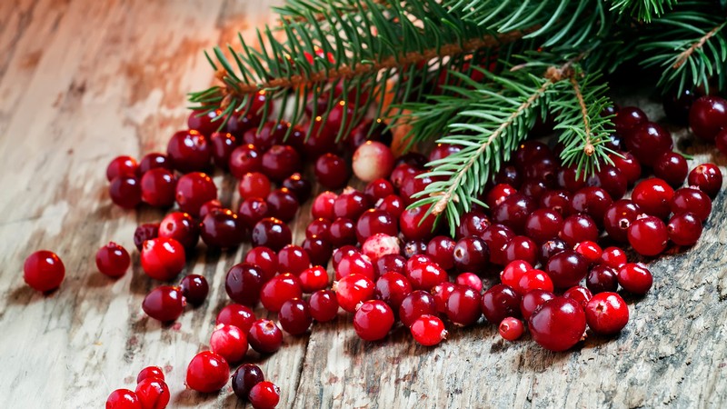 Cranberries sit on a wooden table beneath a decorative pine bough.