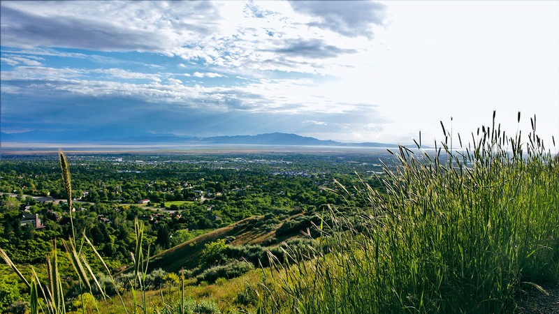 View of Davis County from a mountaintop.