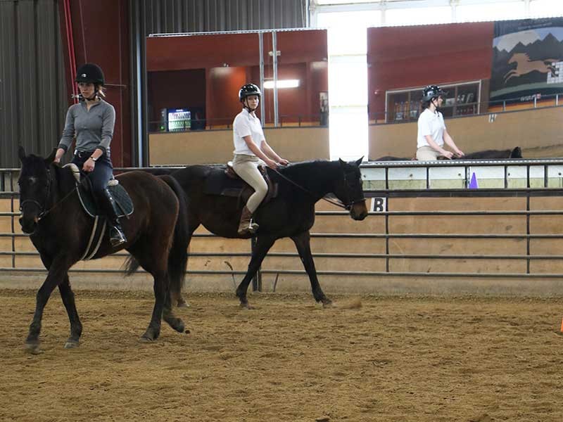 pair of horse riders in the USU Equine Center