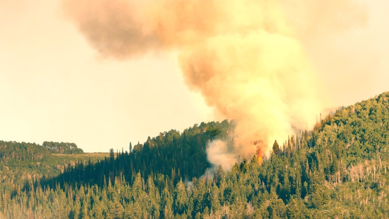 Forest fire photo courtesy of the U.S. Forest Service.