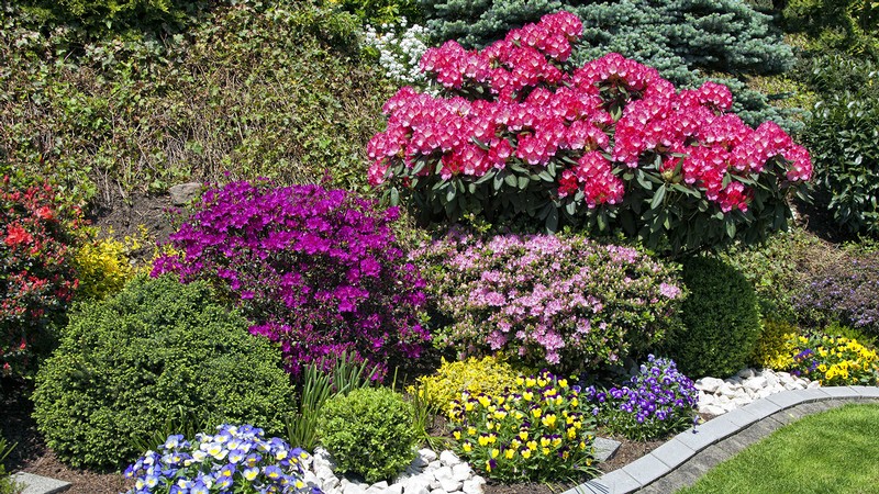 Flowers is a garden.