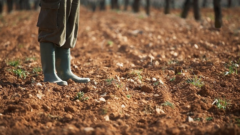 boots in a muddy garden.