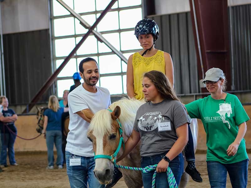 people gather around a person riding a horse.