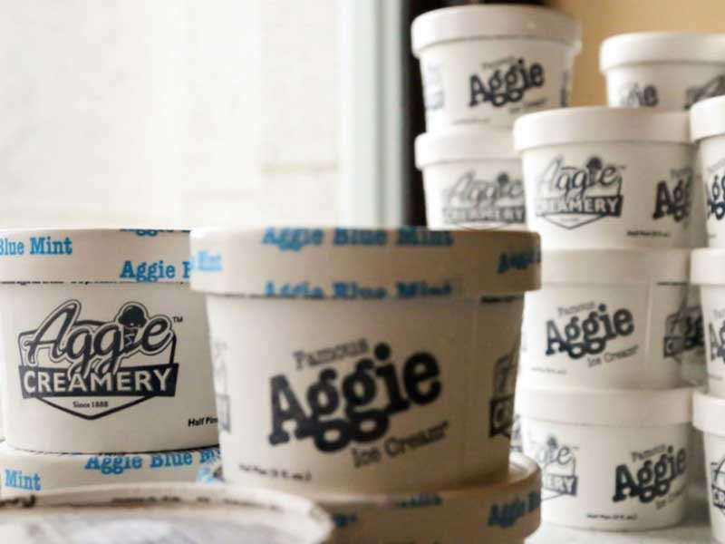 Aggie ice cream containers
