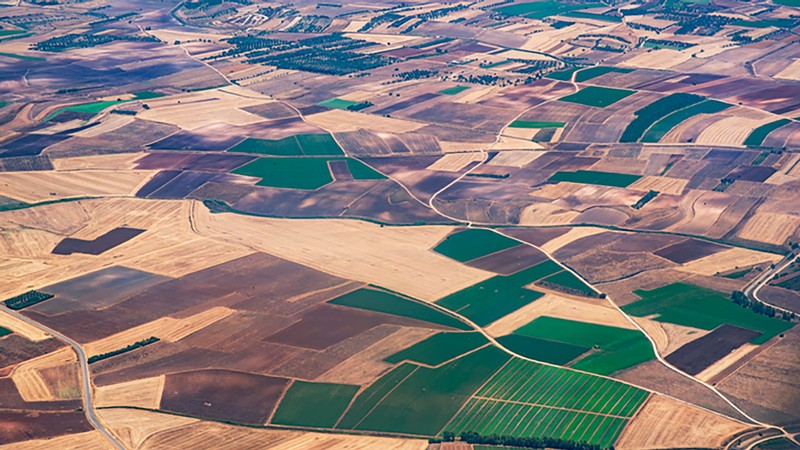 Agricultural plots in the Colorado River Basin.