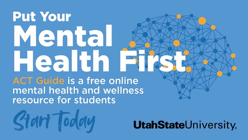 Put Your Mental Health First poster.