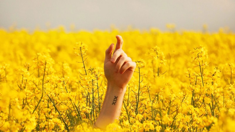 hand rising above a farmer field. Photo by Lukáš Dlutko from Pexels.