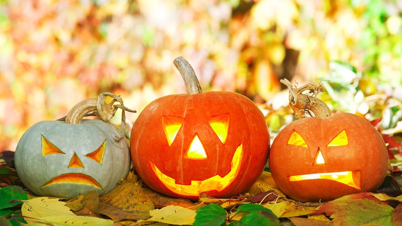 Carved jack-o-lanterns.