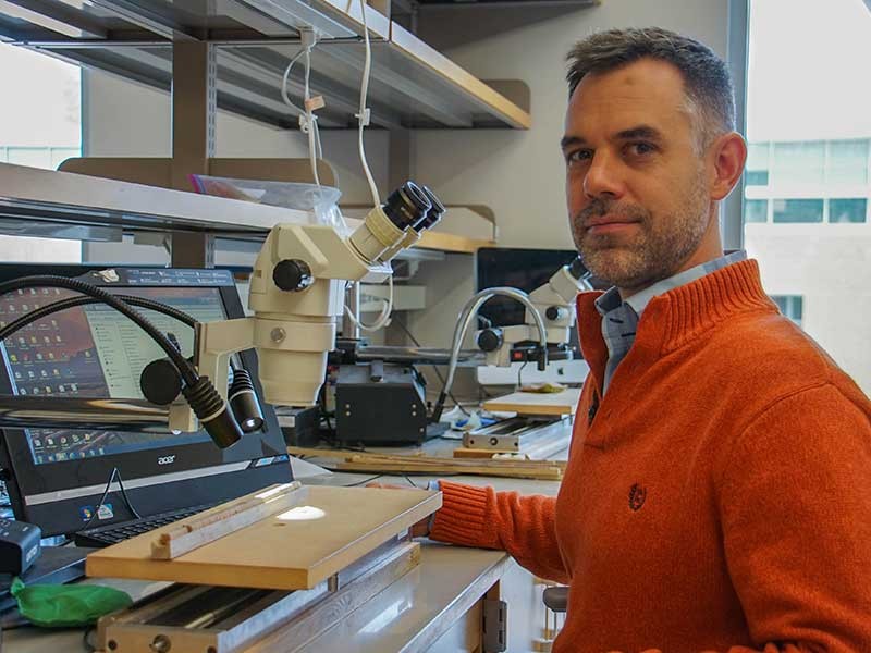 Assistant Professor Steve Voelker