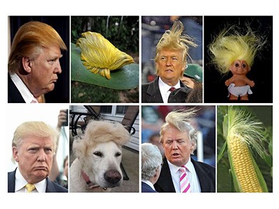 praises of and memes mocking Donald Trump’s hair