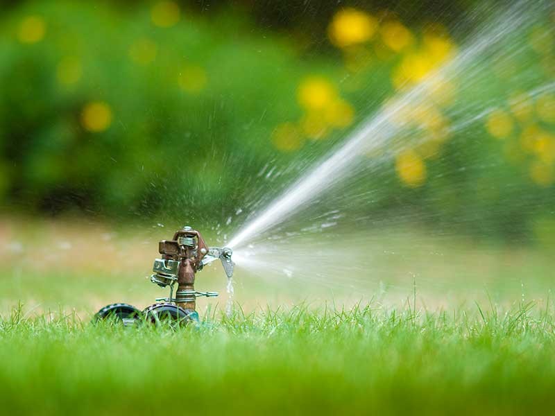 sprinkler on lawn