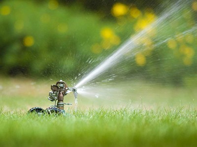 sprinkler on lawn