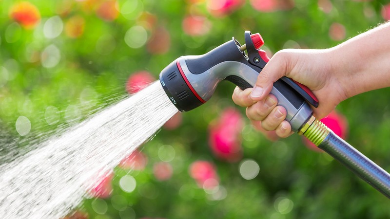 Person watering their yard.