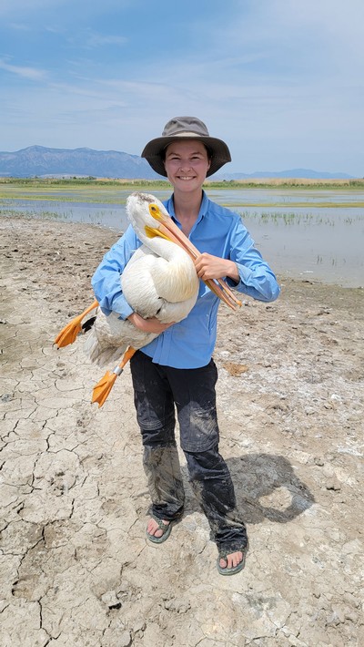 USU Ph.D. student Aimee Van Tatenhove holds a pelican.