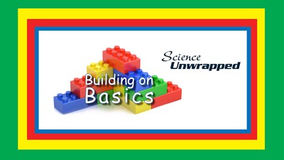 An illustration of LEGO blocks. Text Reads: Building on Basics