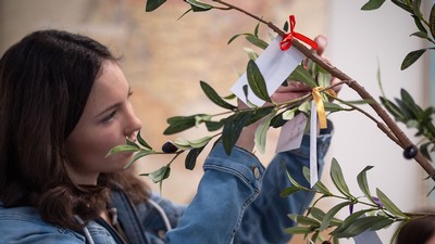 A person tying a scrap of paper on an olive tree.