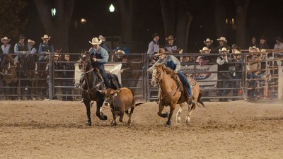 A calf roping event.